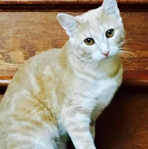 Meet your Posher, Aileen